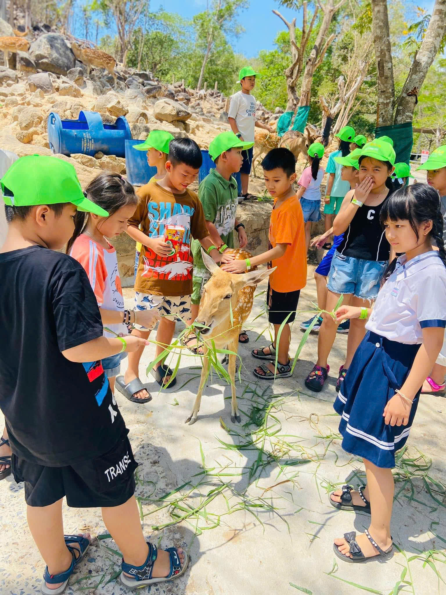 Chương trình funfarm hồ mây 