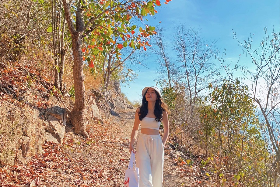 Hẻm 444 trần phú vũng tàu Hồ Mây Park Vũng Tàu - Top đầu du lịch Việt Nam