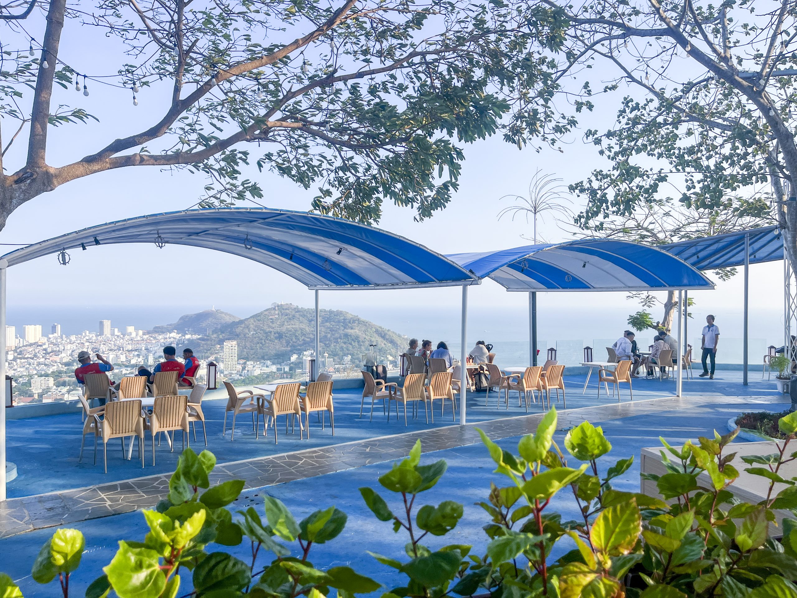 không gian cafe nằm dưới tán cây lý tưởng cho bạn tránh nóng khi đi vũng tàu