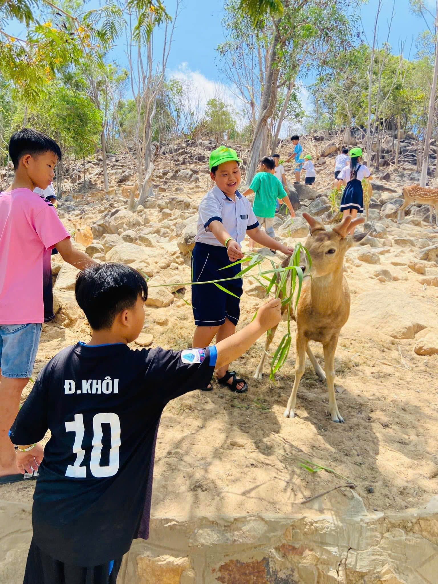 Hồ Mây Park Vũng Tàu - Top đầu du lịch Việt Nam