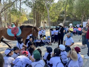 Chương trình các em học sinh tham quan trải nghiệm vườn thú HỒ MÂY PARK VŨNG TÀU