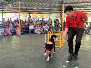 xiếc thú tại HỒ MÂY PARK VŨNG TÀU