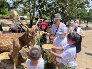 Tham quan vườn thú hồ mây